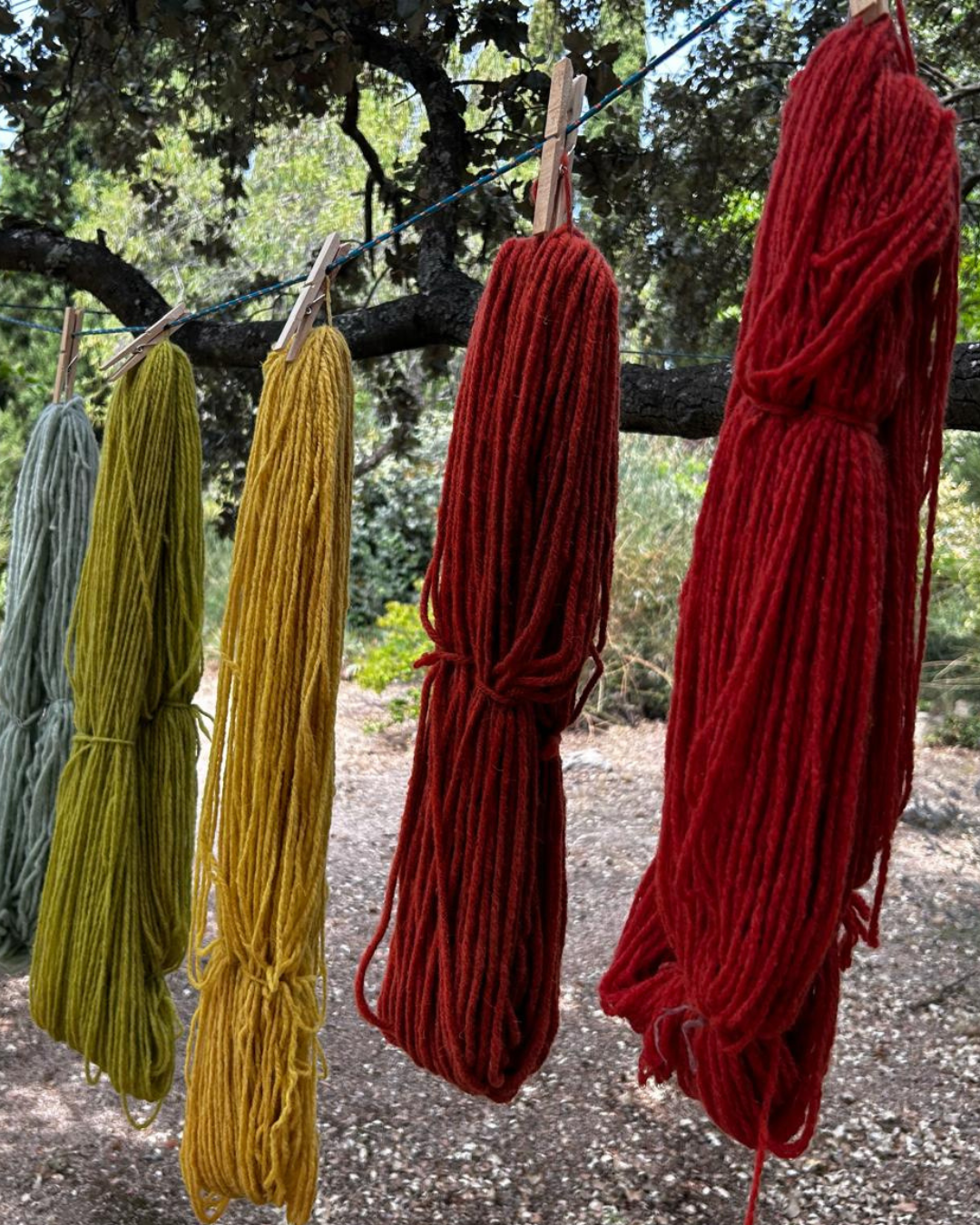 LANAS TINTE NATURALES AMARILLOS Y VERDES